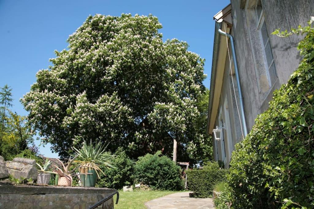 Apartament Haus Keppelborg: Zi Antonia Mit Kirchplatzblick Heek Zewnętrze zdjęcie
